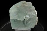 Gemmy Aquamarine Crystal with Muscovite - Pakistan #229399-1